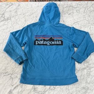 Patagonia Organic Blue Hoodie Mens Sz S Sweatshirt Corpcore Trailwear